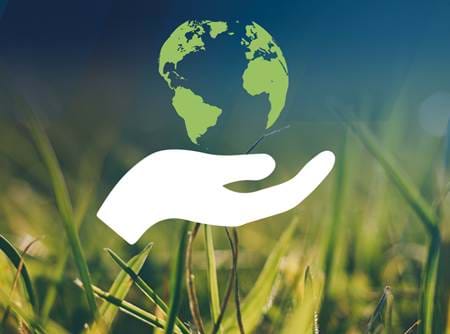 Sustainability