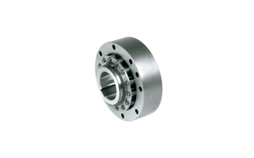 Stieber freewheel RSCI 60 steel